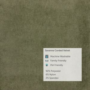 informational-swatch-savanna-corded-velvet