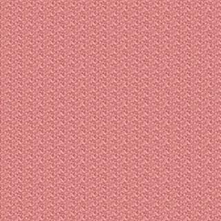 Blush Ultra Velvet