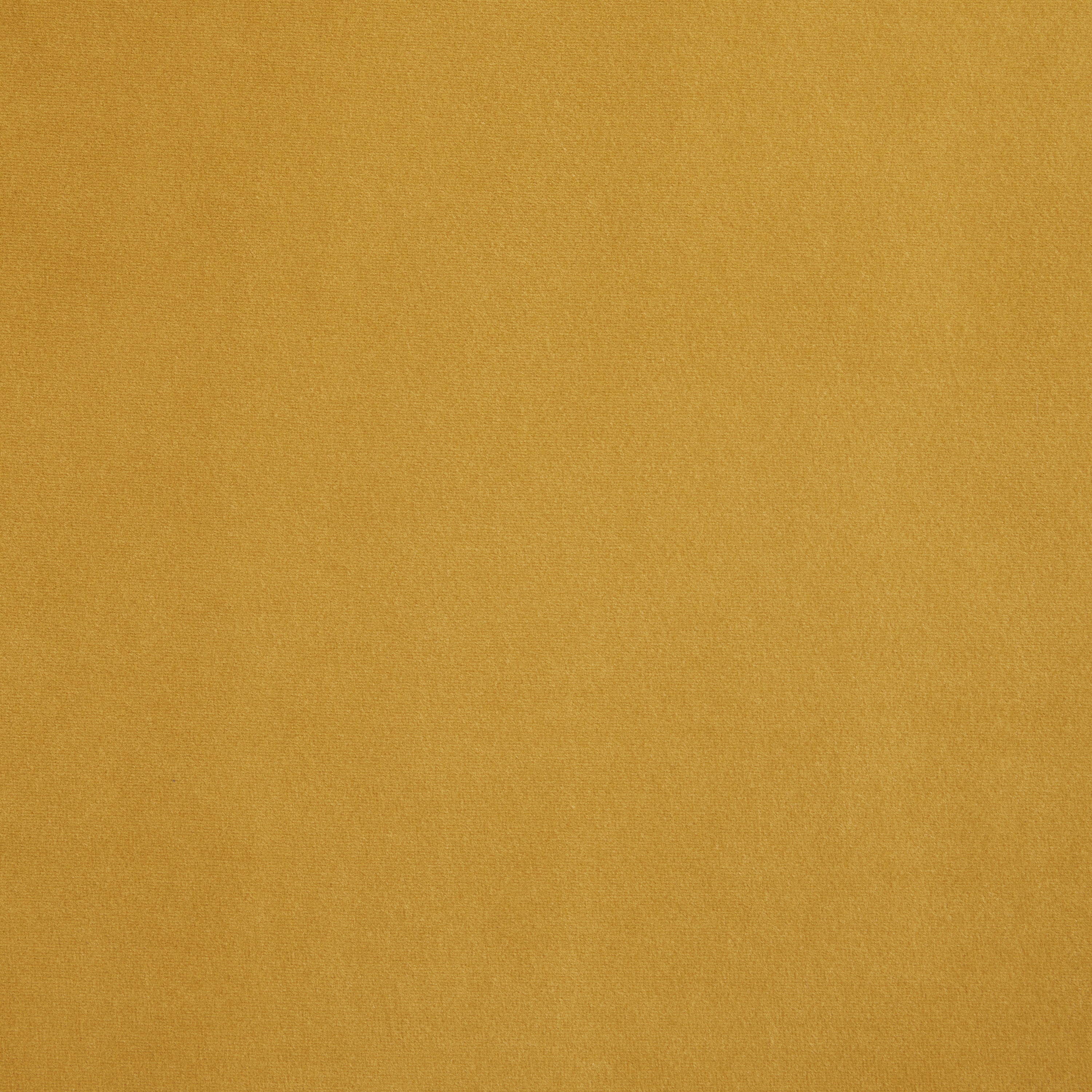Dijon Ultra Velvet