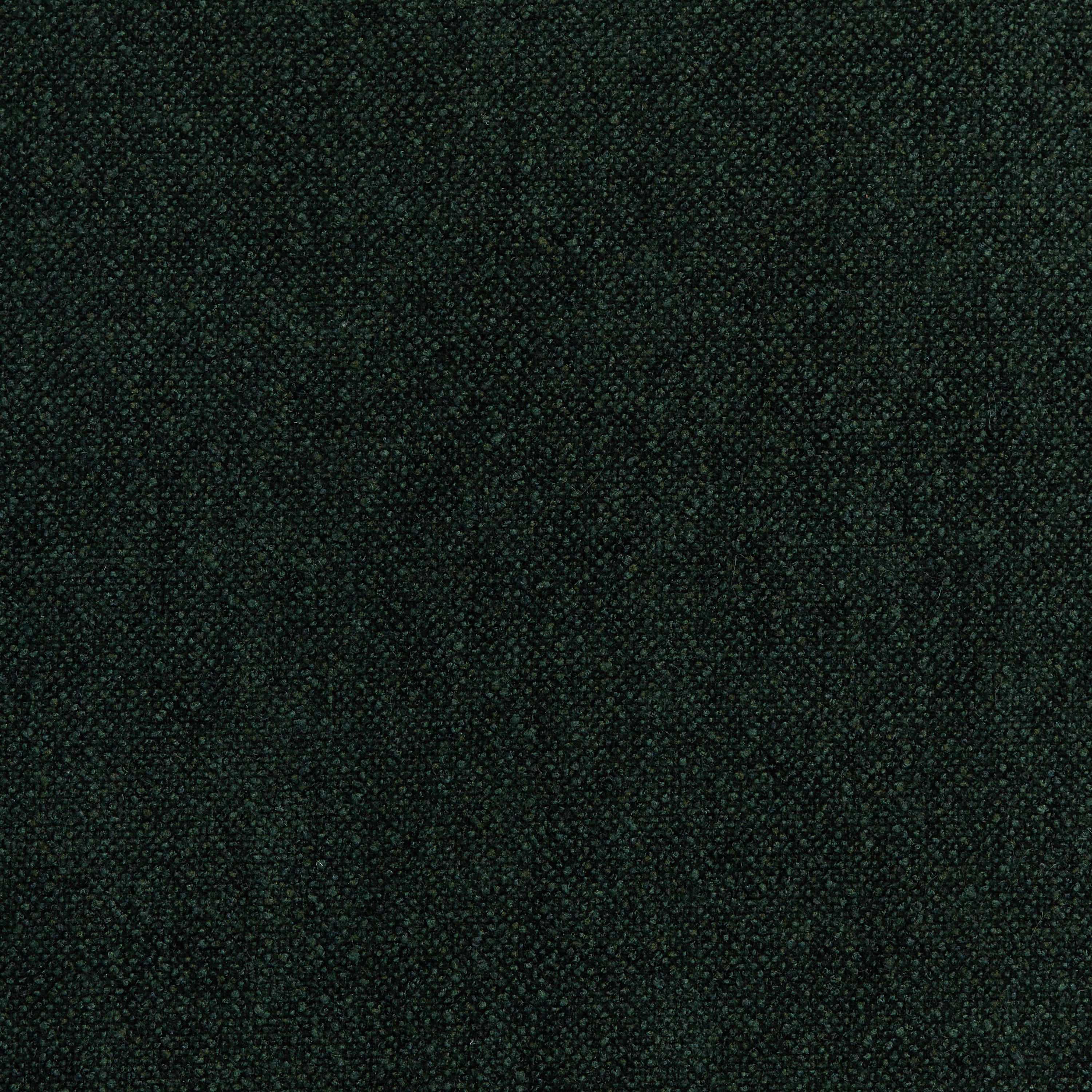 Evergreen Micro Bouclé