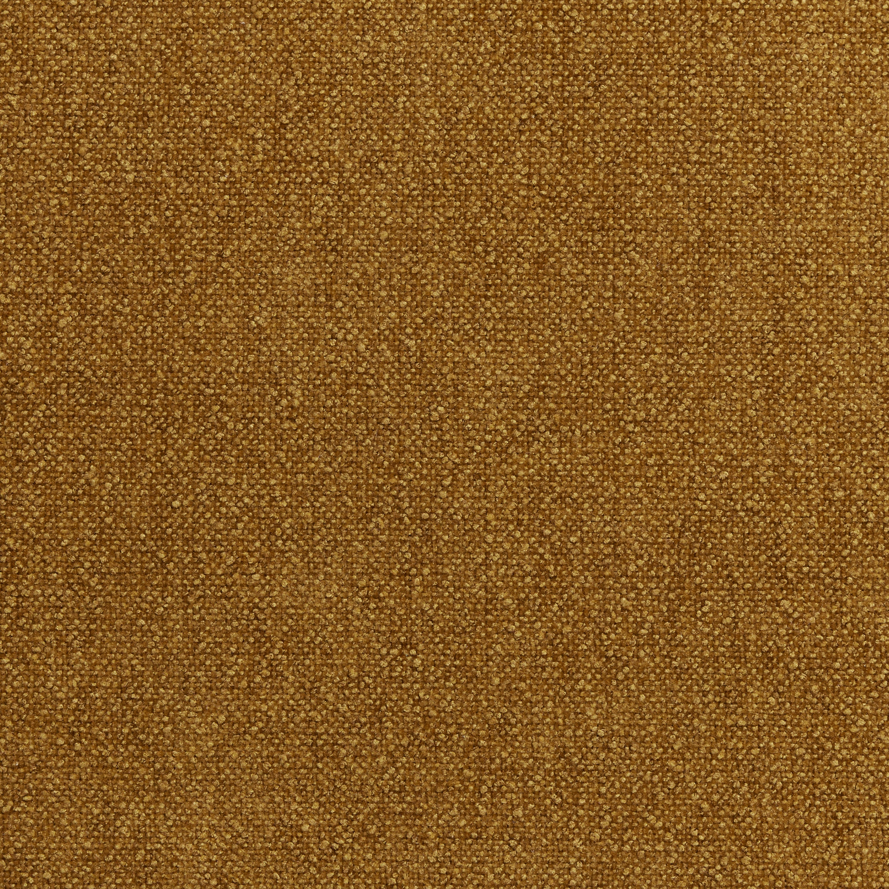 Gold Micro Bouclé