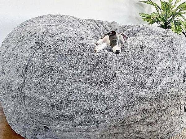 A dog relaxing on a Lovesac BigOne bean bag chair.