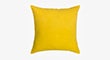 Throw Pillows