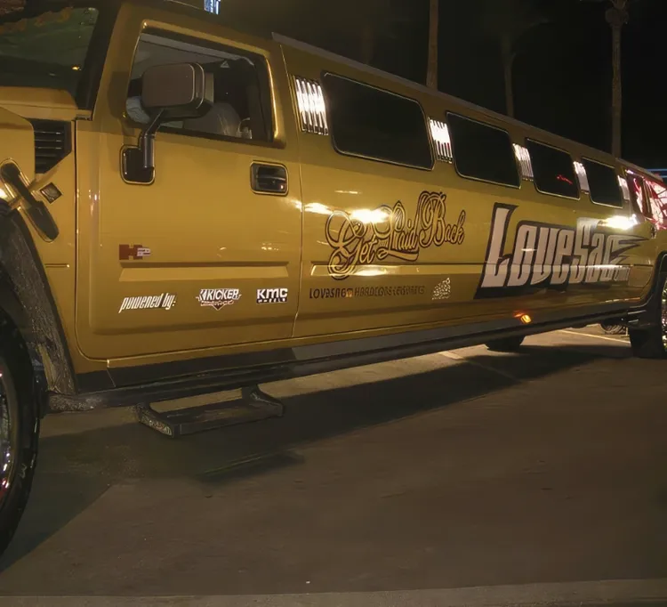 Lovesac Limo